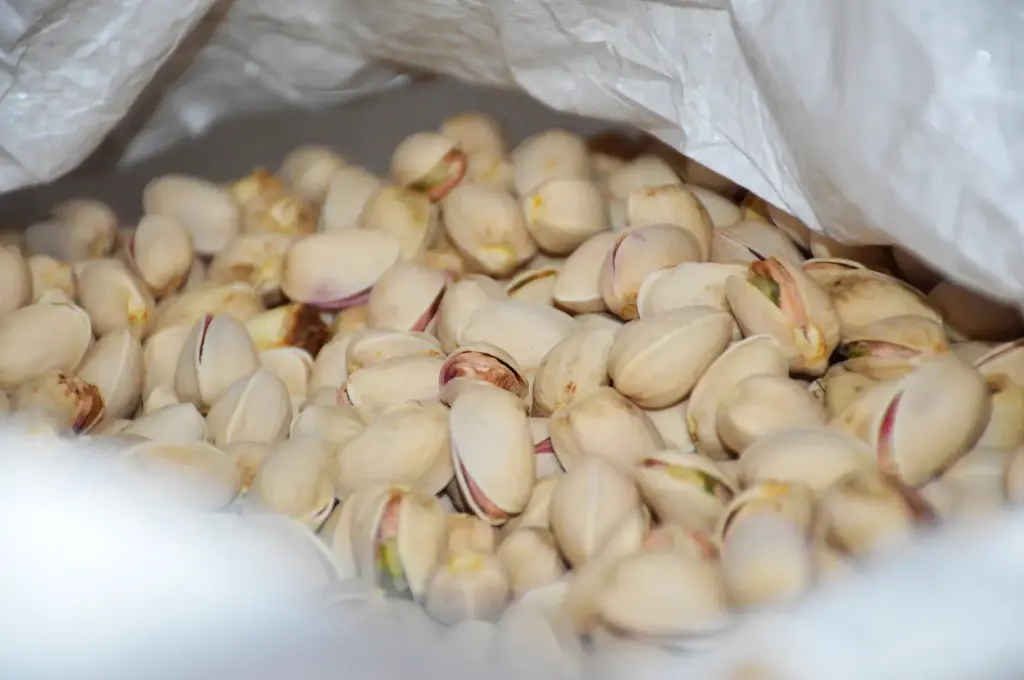 Pistacho ecológico al natural